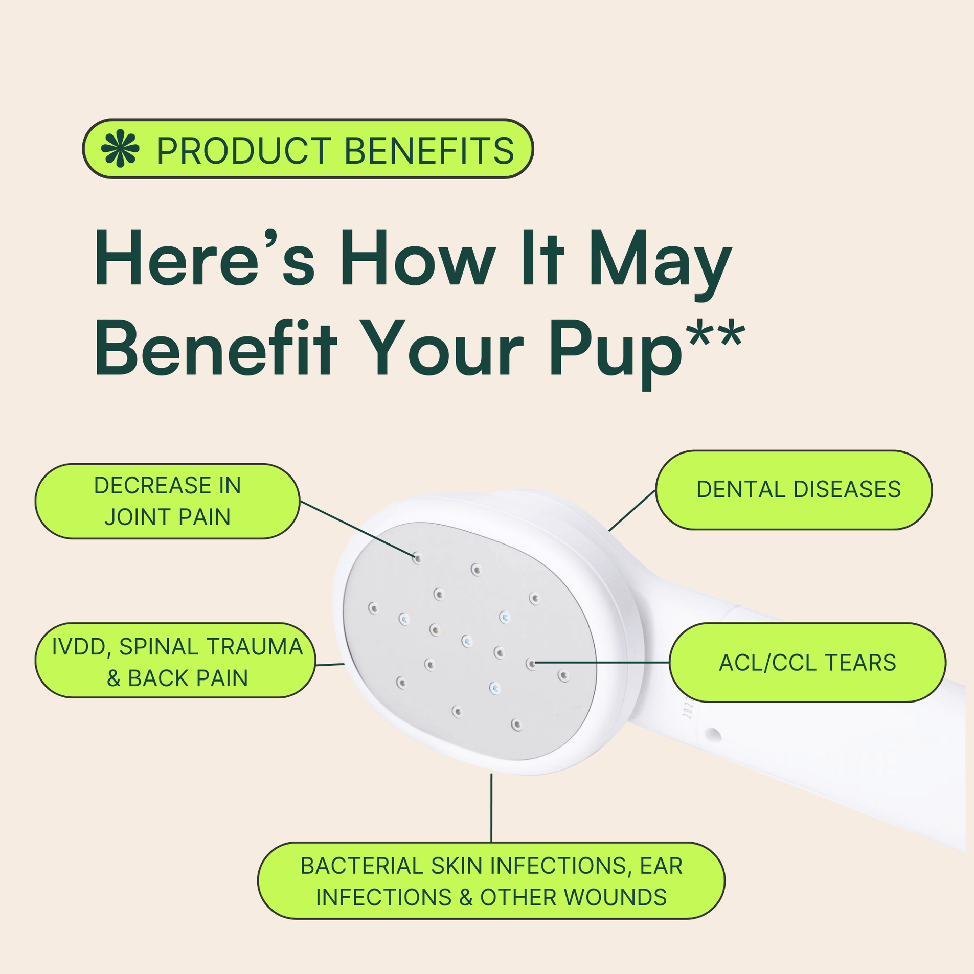 Graphic highlighting the benefits of the Wuffes Portable Laser Therapy device for dogs. The center features the device's head with multiple light points. Lines point to different benefit labels: 'Decrease in Joint Pain,' 'Dental Diseases,' 'IVDD, Spinal Trauma & Back Pain,' 'ACL/CCL Tears,' and 'Bacterial Skin Infections, Ear Infections & Other Wounds.' The top of the image has a green banner and the text 'Product Benefits'.