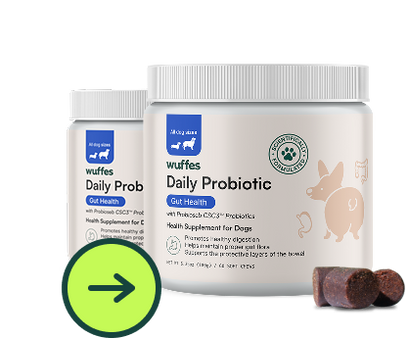 Daily Probiotic