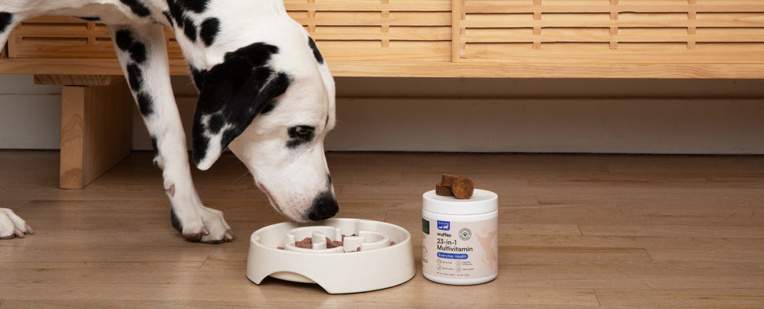 The Benefits Of Your Dog Taking A Vitamin Supplement