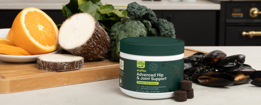 The Power of Green-Lipped Mussels