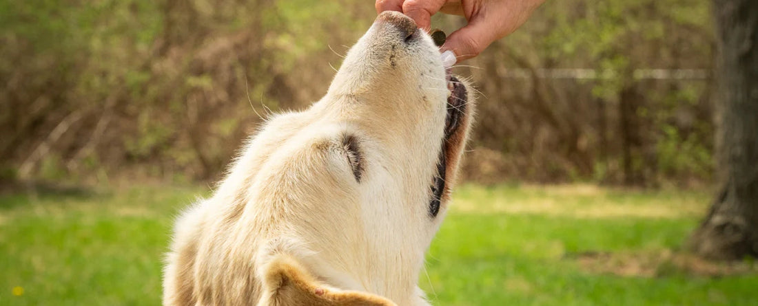 What are the benefits of double servings?