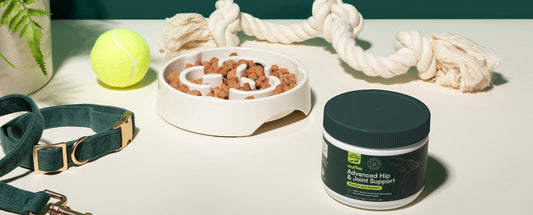 When Should I Start Giving My Dog Joint Supplements?