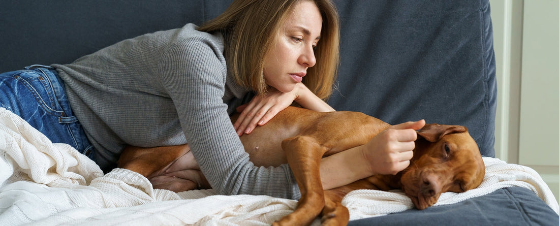 Why Is My Dog Vomiting After Exercise?