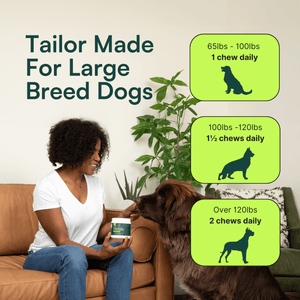 Graphic featuring dosage recommendations for Wuffes Advanced Hip & Joint Support tailored for large breed dogs. On the left, a woman sits on a couch holding a container of Wuffes multivitamins and offering a chew to a large brown dog. The text on the left reads 'Tailor Made For Large Breed Dogs.' On the right, there are three dosage recommendations: '65lbs - 100lbs, 1 chew daily', '100lbs - 120lbs, 1½ chews daily', and 'Over 120lbs, 2 chews daily'. 