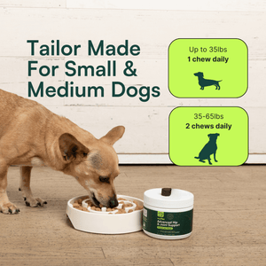 Graphic featuring dosage recommendations for Wuffes Advanced Hip & Joint Support tailored for small and medium dogs. On the left, a small brown dog eats from a slow feeder bowl next to a container of Wuffes Advanced Hip & Joint Support with a chew on the lid. The text on the left reads 'Tailor Made For Small & Medium Dogs.' On the right, there are two dosage recommendations: 'Up to 35lbs, 1 chew daily' with a small dog silhouette, and '35-65lbs, 2 chews daily' with a medium dog silhouette.