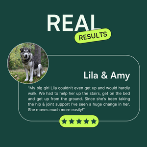 Testimonial graphic titled 'REAL RESULTS' with a picture of a large dog named Lila in the top left. The testimonial is from 'Lila & Amy' and reads, 'My big girl Lila couldn't even get up and would hardly walk. We had to help her up the stairs, get on the bed and get up from the ground. Since she's been taking the hip & joint support I've seen a huge change in her. She moves much more easily!' At the bottom, there is a row of five green stars indicating a 5-star rating.