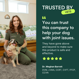 Dr. Meghan Barrett, DVM, sits on the floor with her dog, smiling at the camera. The text on the right reads 'TRUSTED BY VETS' with a badge, and a quote saying, 'You can trust this company to help your dog with joint issues. They have gone above and beyond to make sure this product is safe and effective.' Below the quote is a 5-star rating and Dr. Meghan Barrett's credentials: 'DVM, cVMA, CCRT, CVFT, FFCP, CCVN.'