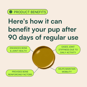 Image displaying the benefits of a dog supplement after 90 days of regular use. The headline reads, 'Here's how it can benefit your pup after 90 days of regular use.' Four benefits are shown around the central image of a liquid supplement: 'Enhances Bone & Joint Health,' 'Eases Joint Stiffness Due to Daily Activity,' 'Provides Bone Reinforcing Factors,' and 'Helps Maintain Mobility.' The 'Product Benefits' section is highlighted with a green icon at the top.