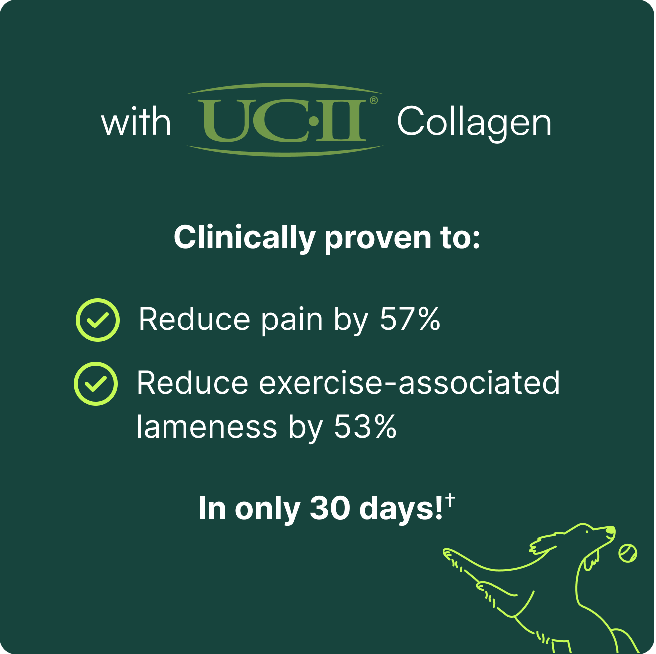 A promotional graphic for Wuffes Advanced Joint Liquid featuring UC-II Collagen. The text highlights that the product is 'Clinically proven to: reduce pain by 57% and reduce exercise-associated lameness by 53% in only 30 days!' The background is dark green, with a small outline of a dog playing with a ball in the bottom right corner.