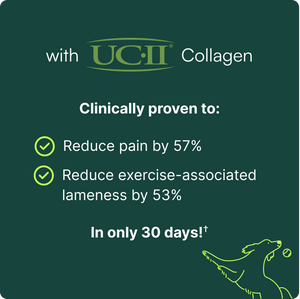 A promotional graphic for Wuffes Advanced Joint Liquid featuring UC-II Collagen. The text highlights that the product is 'Clinically proven to: reduce pain by 57% and reduce exercise-associated lameness by 53% in only 30 days!' The background is dark green, with a small outline of a dog playing with a ball in the bottom right corner.