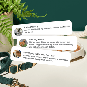 Three customer testimonials for Wuffes low-laser therapy device. The reviews highlight improvements in dogs' joint health and satisfaction with the product. In the background, there is a green plant, a dog leash, and a bowl filled with dog food.