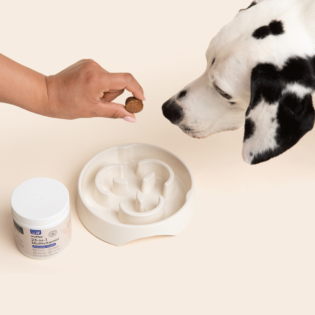 A Dalmatian dog sniffs a Wuffes 23-in-1 Multivitamin chew held by a hand above a white slow feeder bowl. The woman is breaking up the chew and sprinkling it into the food bowl. Next to the bowl, there is an open container of Wuffes 23-in-1 Multivitamin.