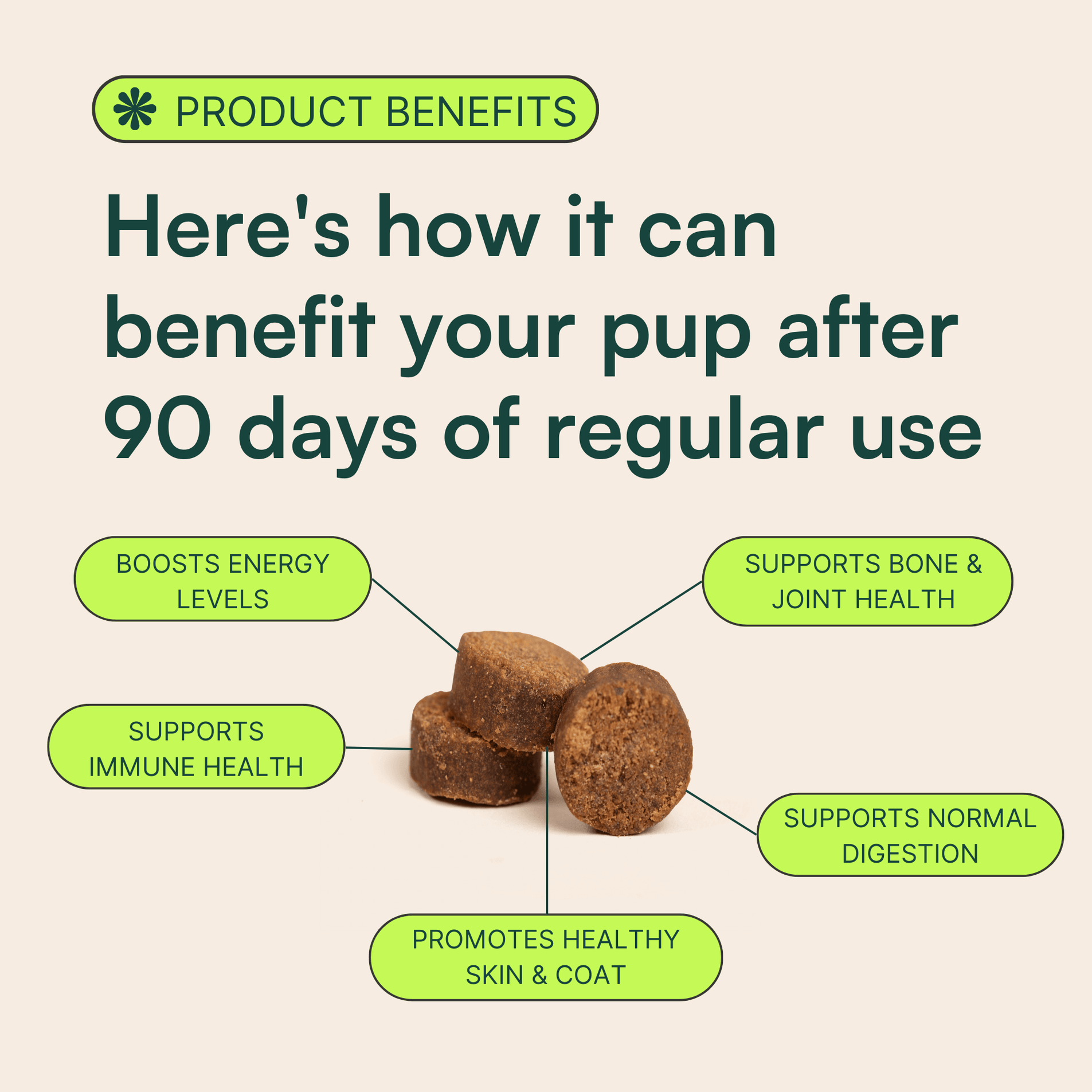 Image displaying the benefits of a dog supplement after 90 days of regular use. The headline reads, 'Here's how it can benefit your pup after 90 days of regular use.' Five benefits are shown around the central image of two chews: 'Boosts Energy Levels,' 'Supports Immune Health,' 'Promotes Healthy Skin & Coat,' 'Supports Bone & Joint Health,' and 'Supports Normal Digestion.' The 'Product Benefits' section is highlighted with a green icon at the top.