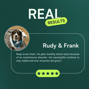 Testimonial graphic titled 'REAL RESULTS' with a picture of a happy dog wearing a bandana on the left. The testimonial is from 'Rudy & Frank' and reads, 'Rudy loves them. He gets monthly blood tests because of an autoimmune disorder. His neutrophils continue to stay stable and liver enzymes are good!' At the bottom, there is a row of five green stars indicating a 5-star rating.