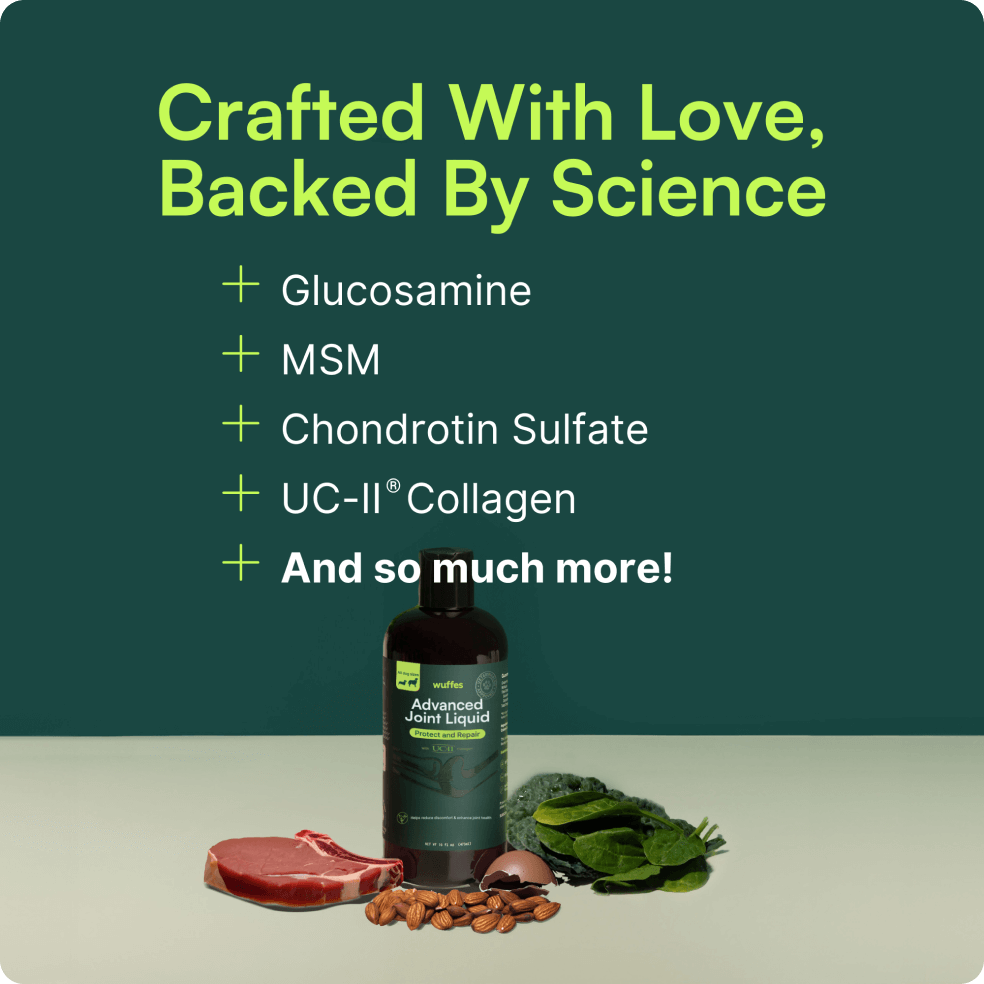 A promotional graphic for Wuffes Advanced Joint Liquid with the headline 'Crafted With Love, Backed By Science.' The text lists key ingredients: Glucosamine, MSM, Chondroitin Sulfate, UC-II Collagen, and 'And so much more!' Below the text is an image of the product bottle surrounded by various healthy ingredients, including a piece of meat, almonds, spinach, and kale. The background is dark green.