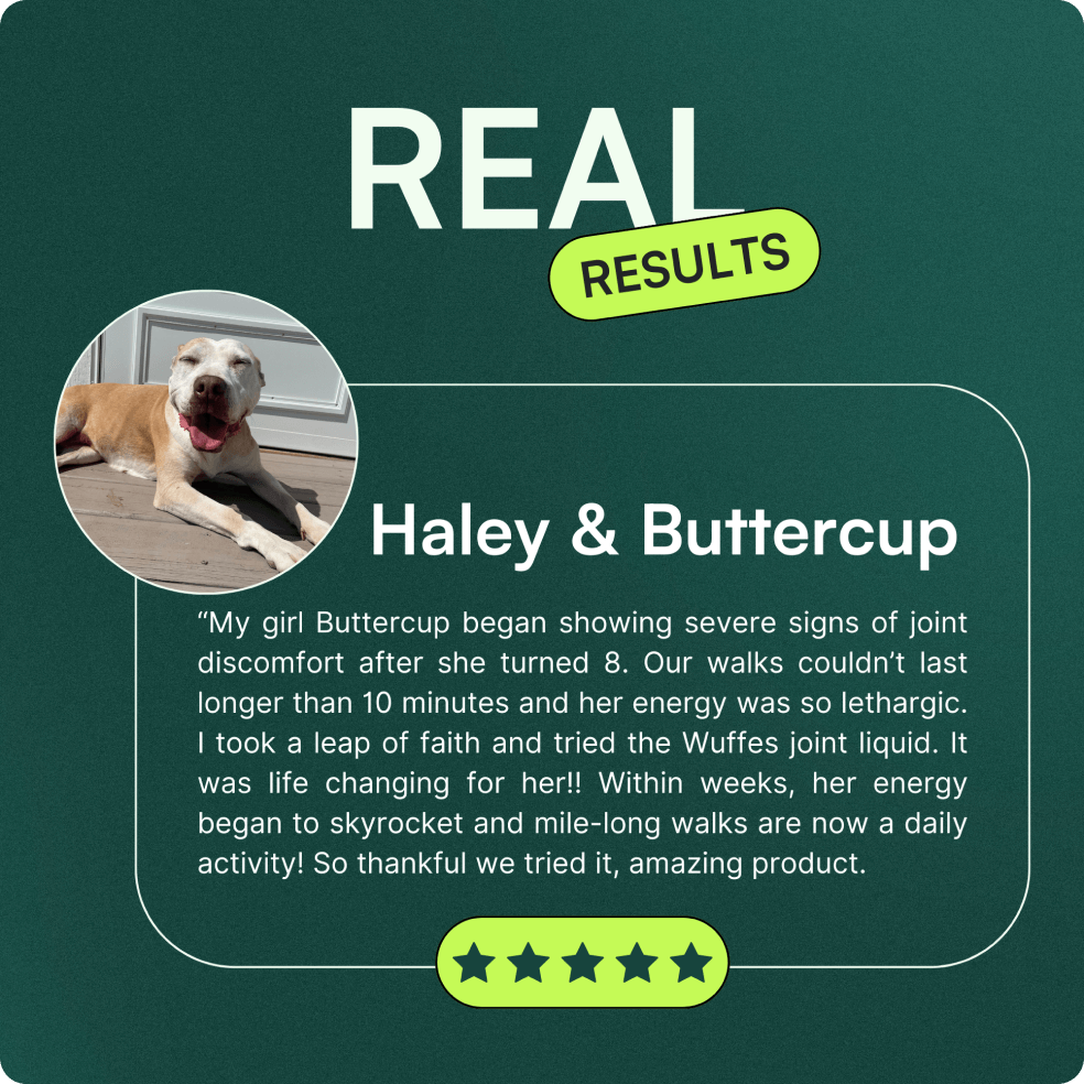 A testimonial graphic titled 'Real Results' from Haley & Buttercup, with a photo of a happy dog. The testimonial describes how Wuffes joint liquid transformed Buttercup’s joint health and energy, enabling long daily walks. Below is a 5-star rating on a green background.