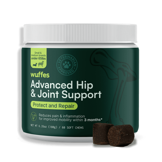 Advanced Hip & Joint Support for Small & Medium Breeds